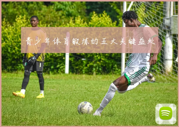 青少年体育锻炼的五大关键益处